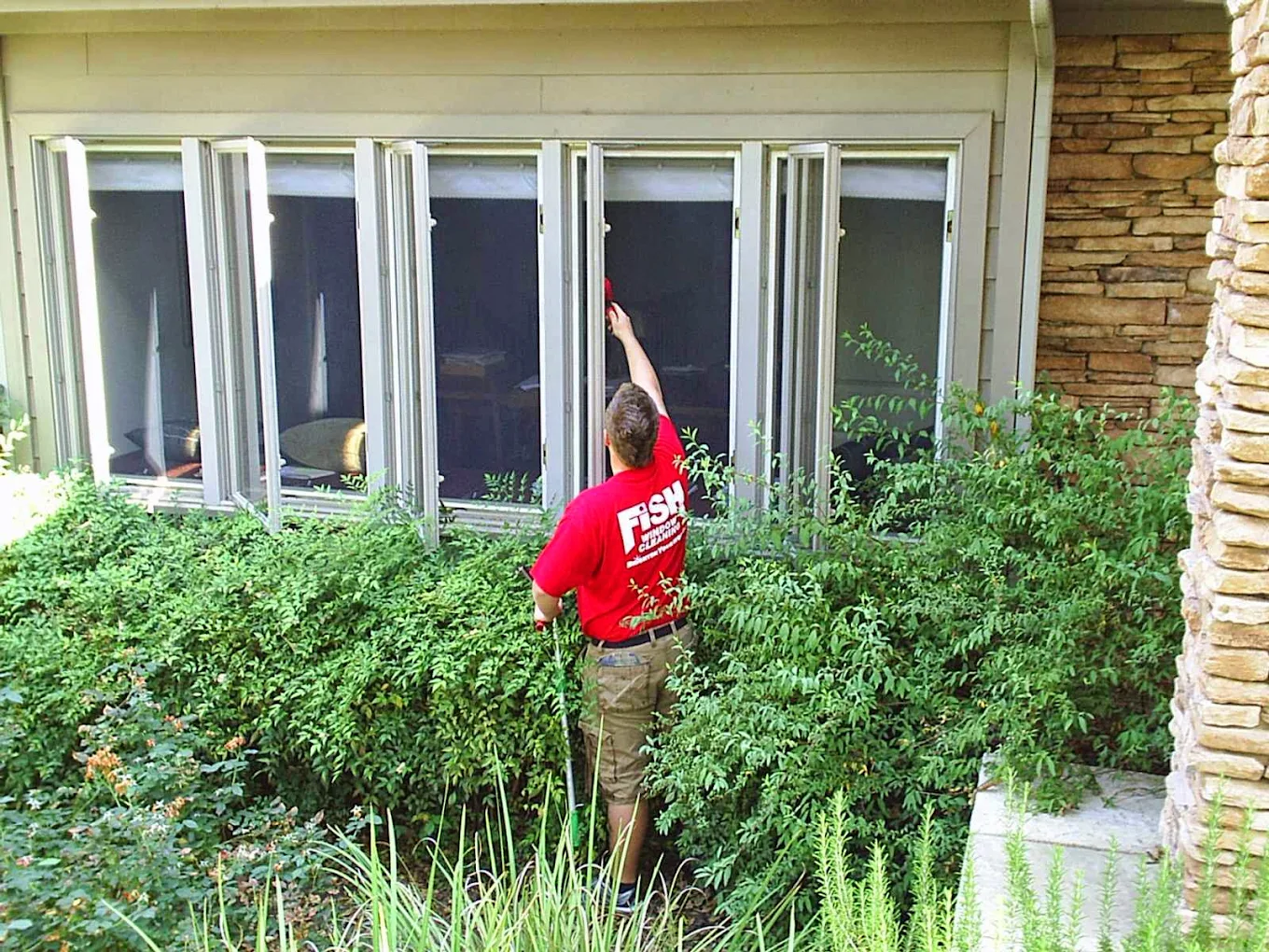 Fish Window Cleaning