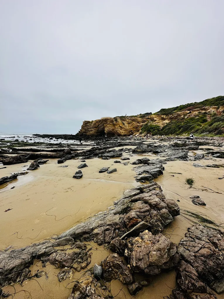 Crystal Cove Trail