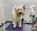 My Favorite Groomer LLC