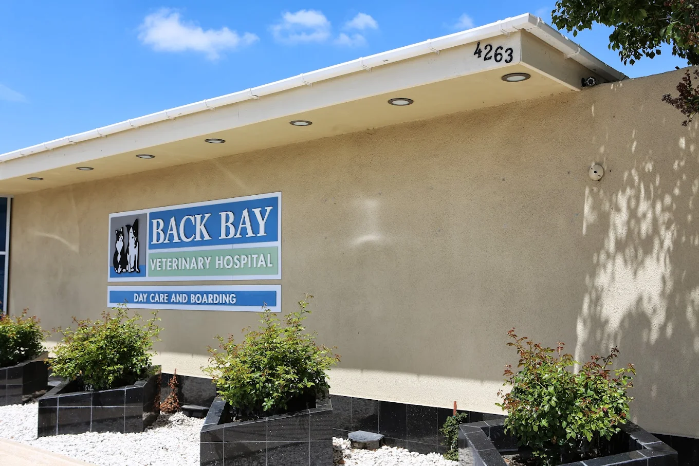 Back Bay Veterinary Hospital