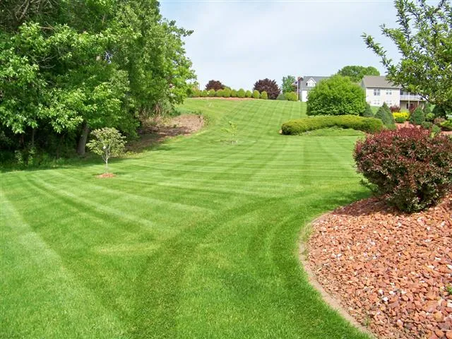 Executive Mowing