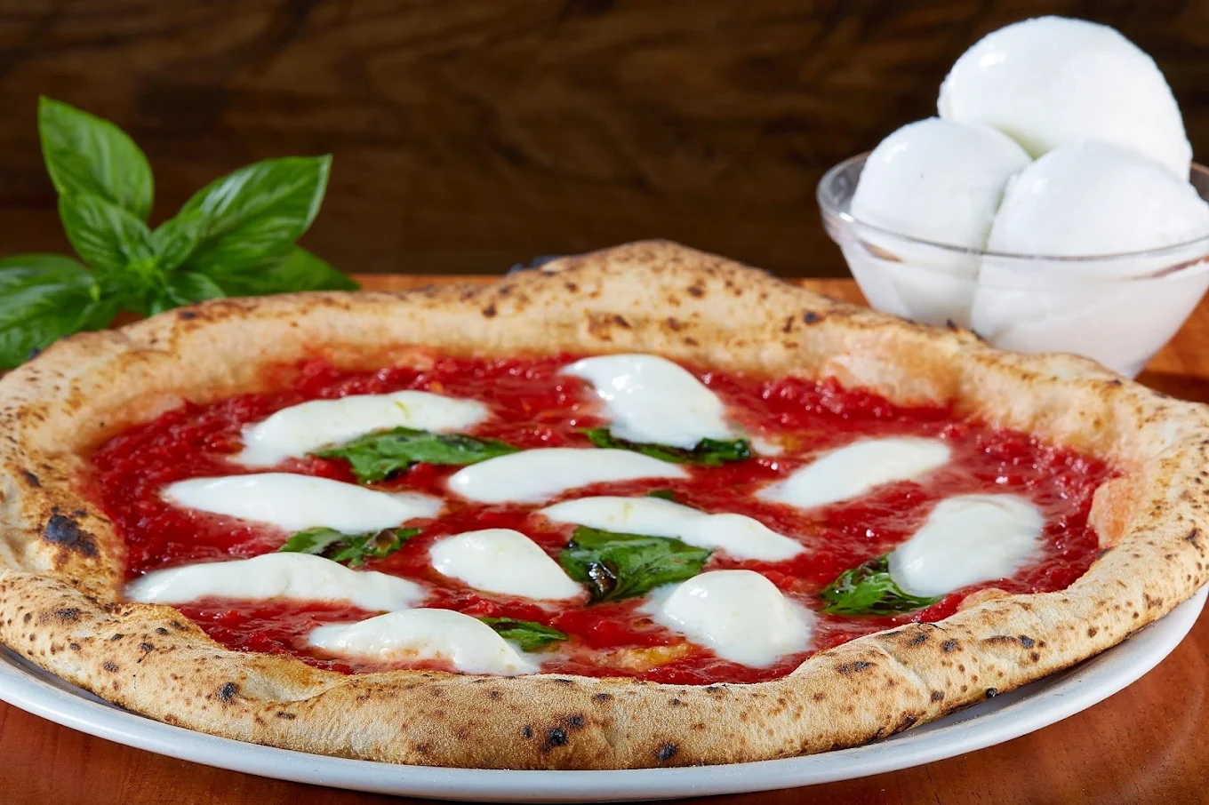 Pizzeria Testa