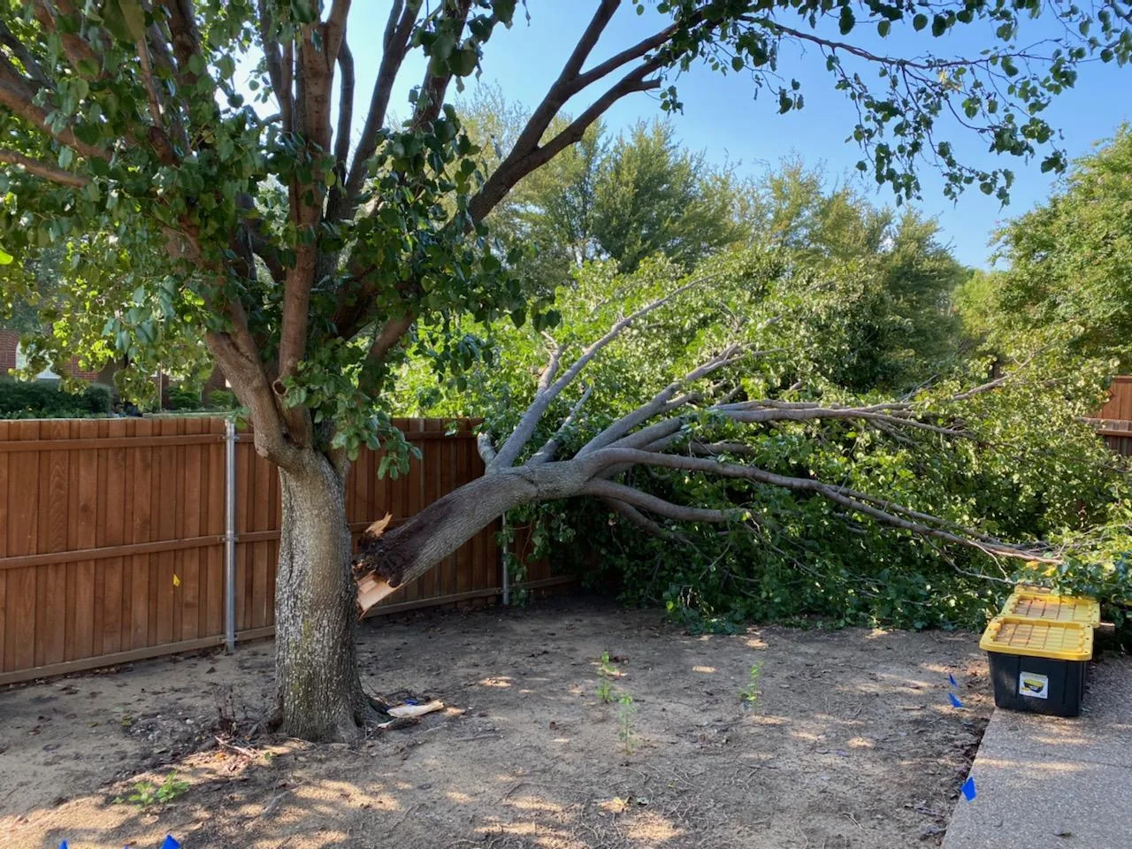 Tree Service Pros