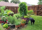Soils Alive