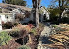 Extensive Lawn and Landscape LLC