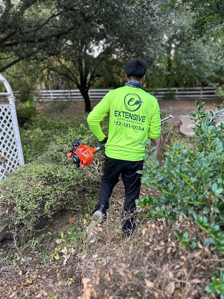 Extensive Lawn and Landscape LLC