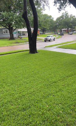 Goodbee Lawn Care Services