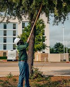 Acadia Tree Care