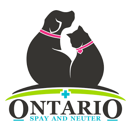 Ontario Spay and Neuter