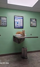 Ontario Veterinary Hospital