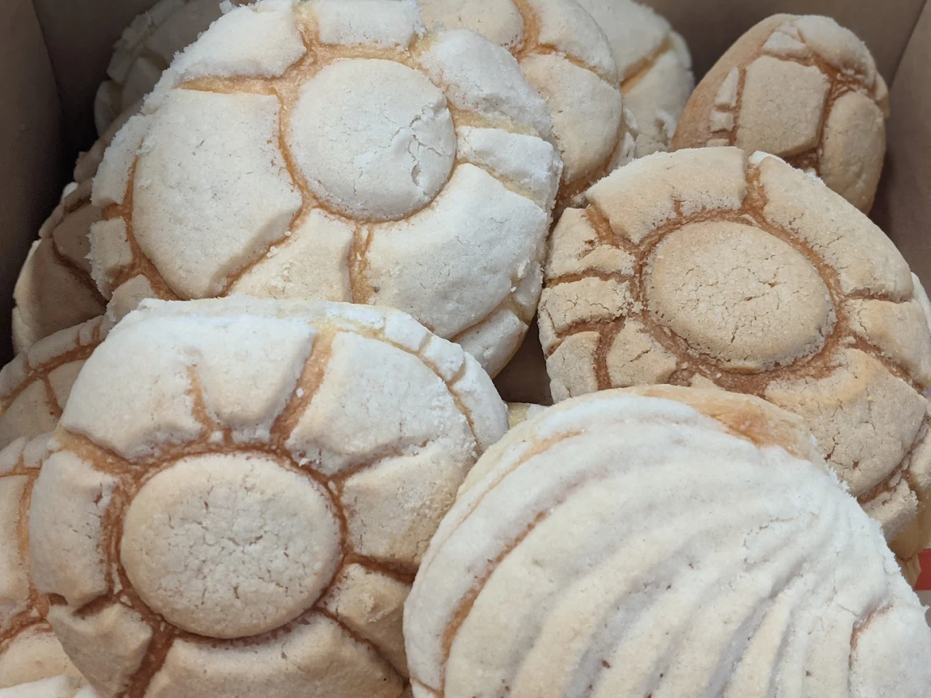 El Mejor Pan Bakery
