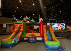 Bounce Universe