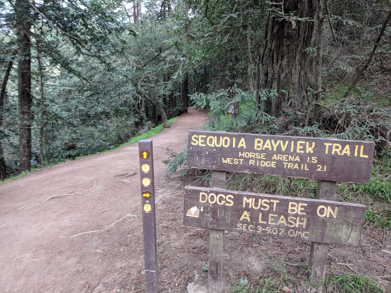 Joaquin Miller Park