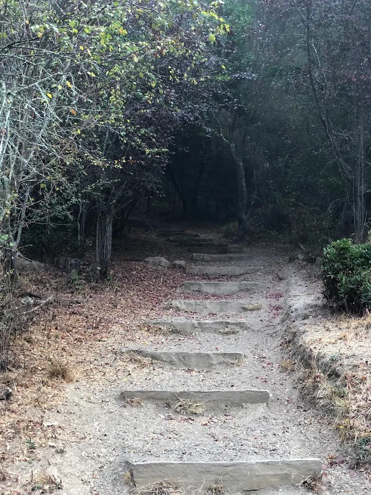 Sibley Volcanic Regional Preserve