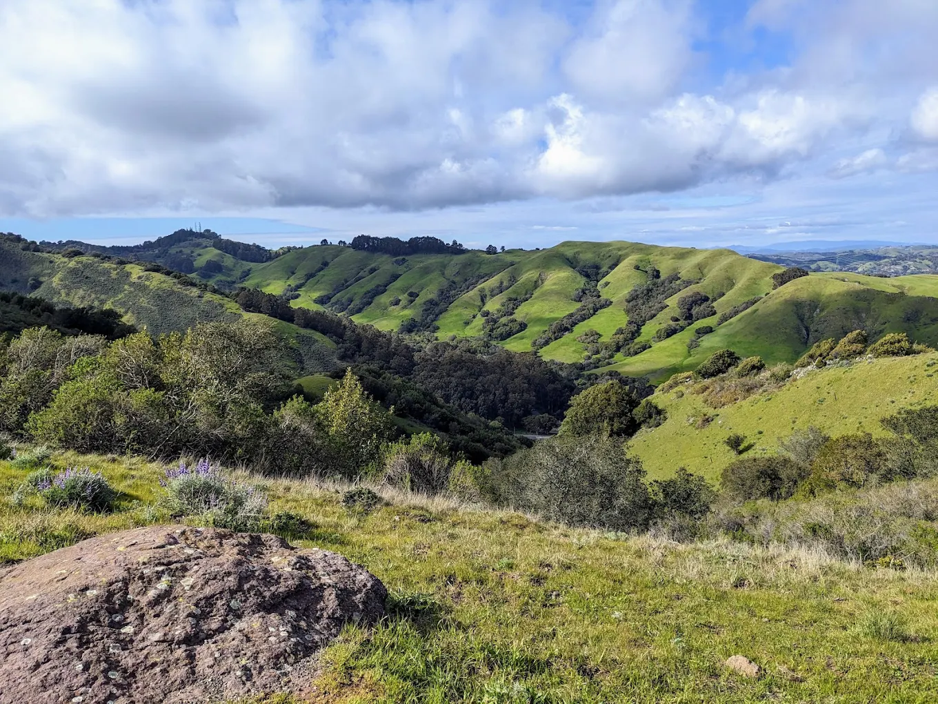 Sibley Volcanic Regional Preserve