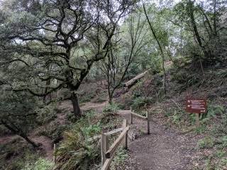 Huckleberry Botanic Regional Preserve