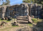 Oakland Zoo