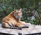 Oakland Zoo