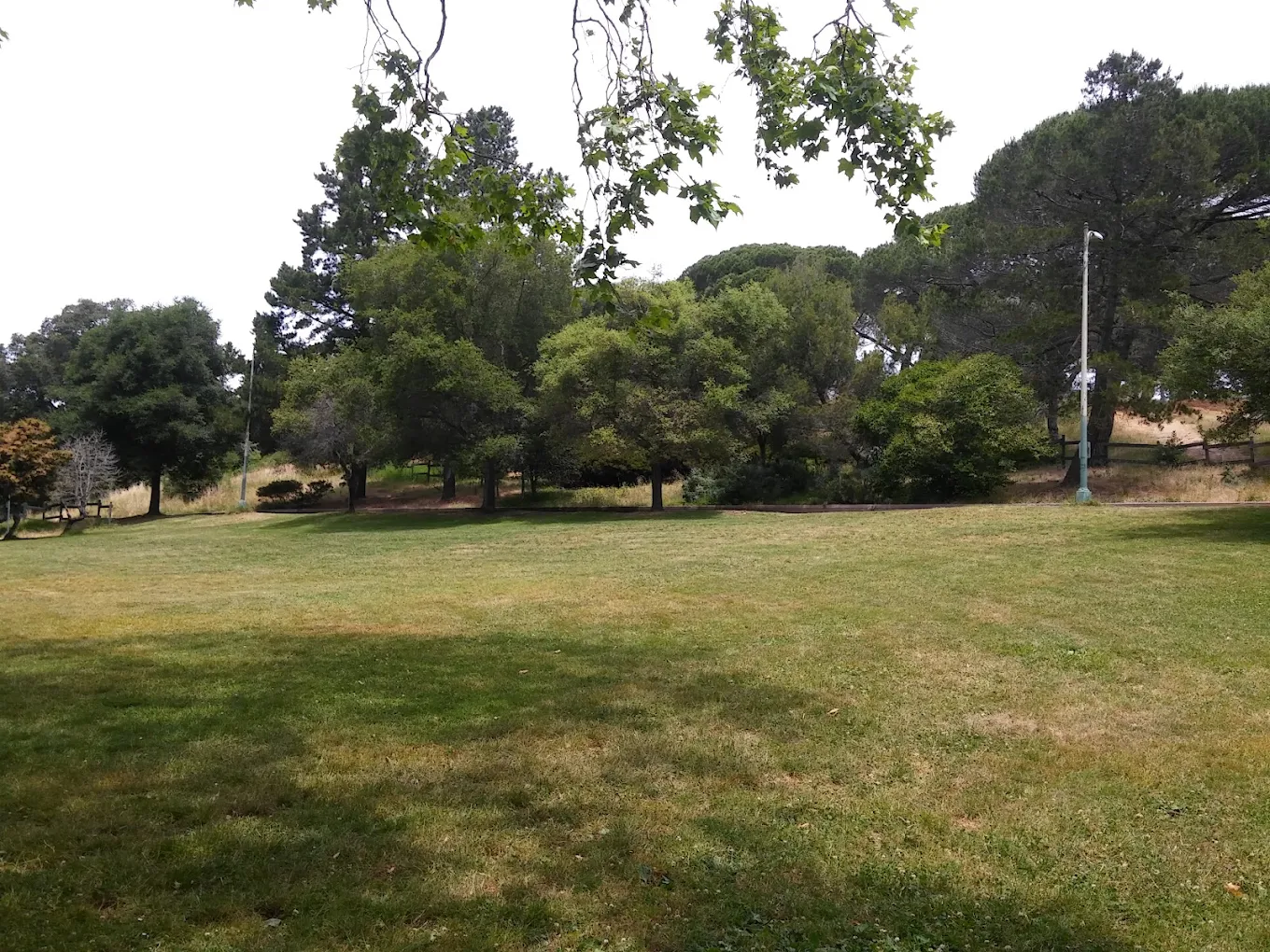 Dimond Park