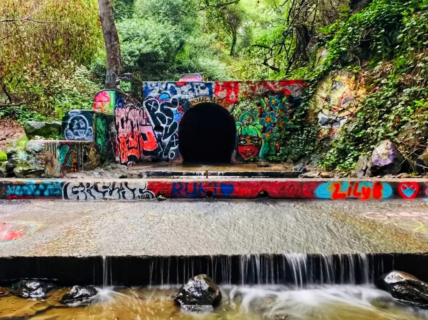 Dimond Park