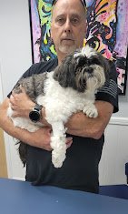 Newport Hills Animal Hospital