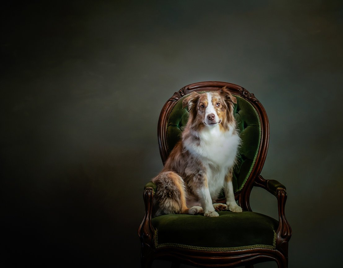 Therese Barrett Fine Art Portraiture