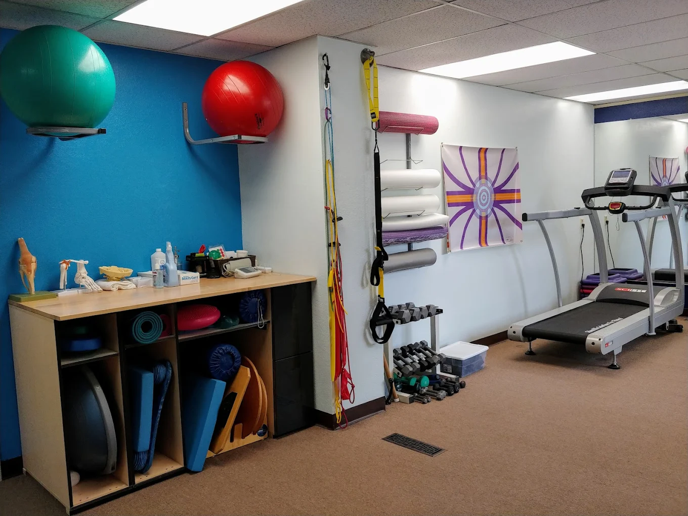 Taylor & Thornburg Physical Therapy, Inc.