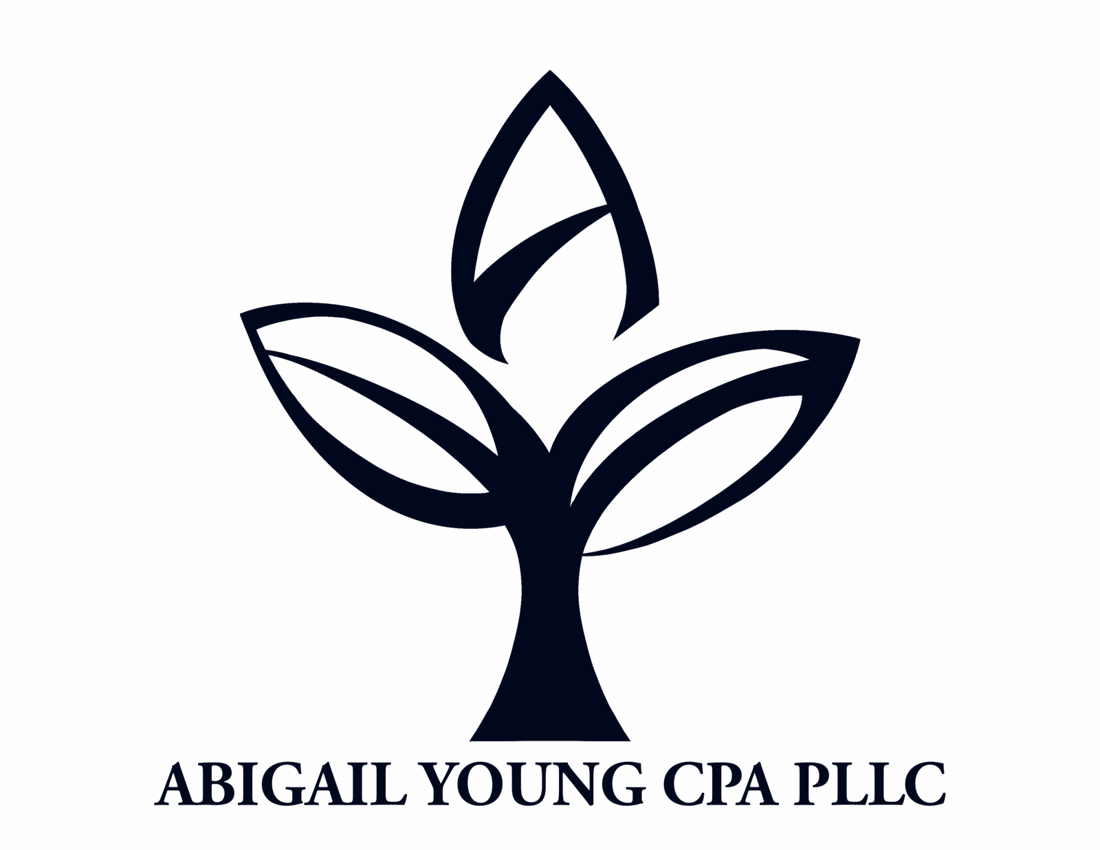 Abigail Y Murray CPA LLC