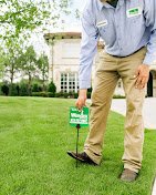 Weedex Lawn Care