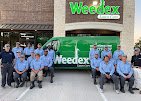 Weedex Lawn Care