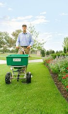 Weedex Lawn Care