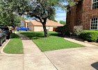 Los Mowers Lawn Care LLC