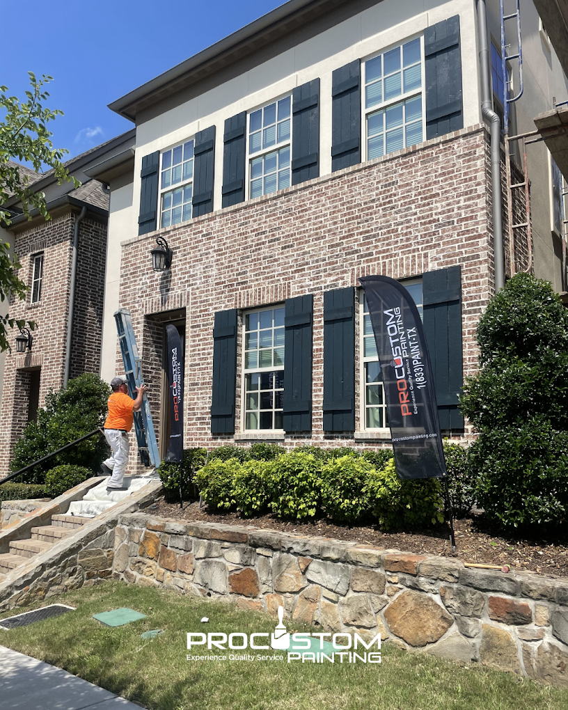Pro Custom Painting