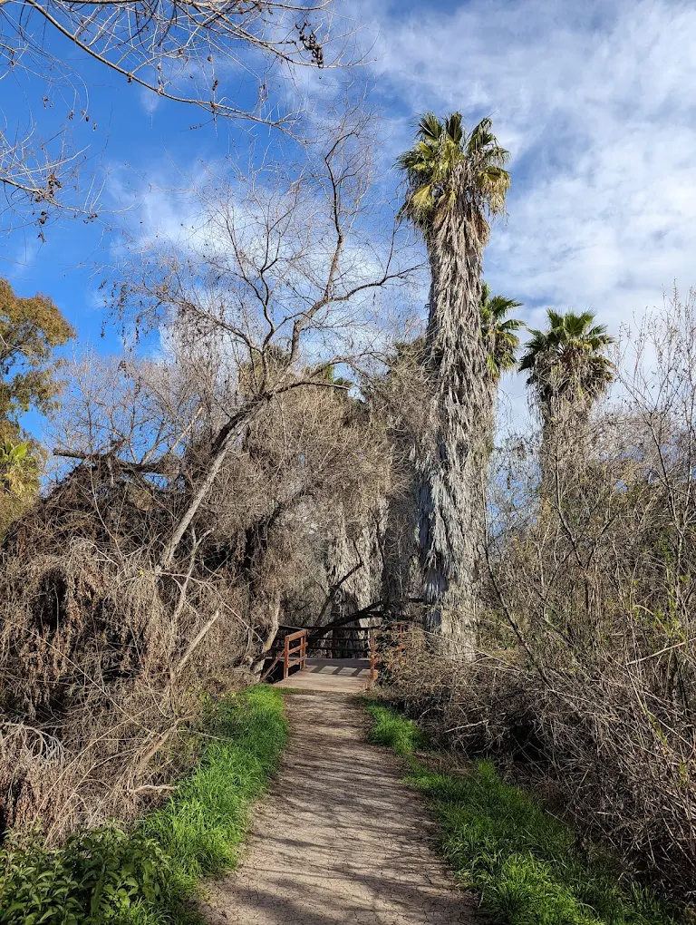 Guajome Regional Park