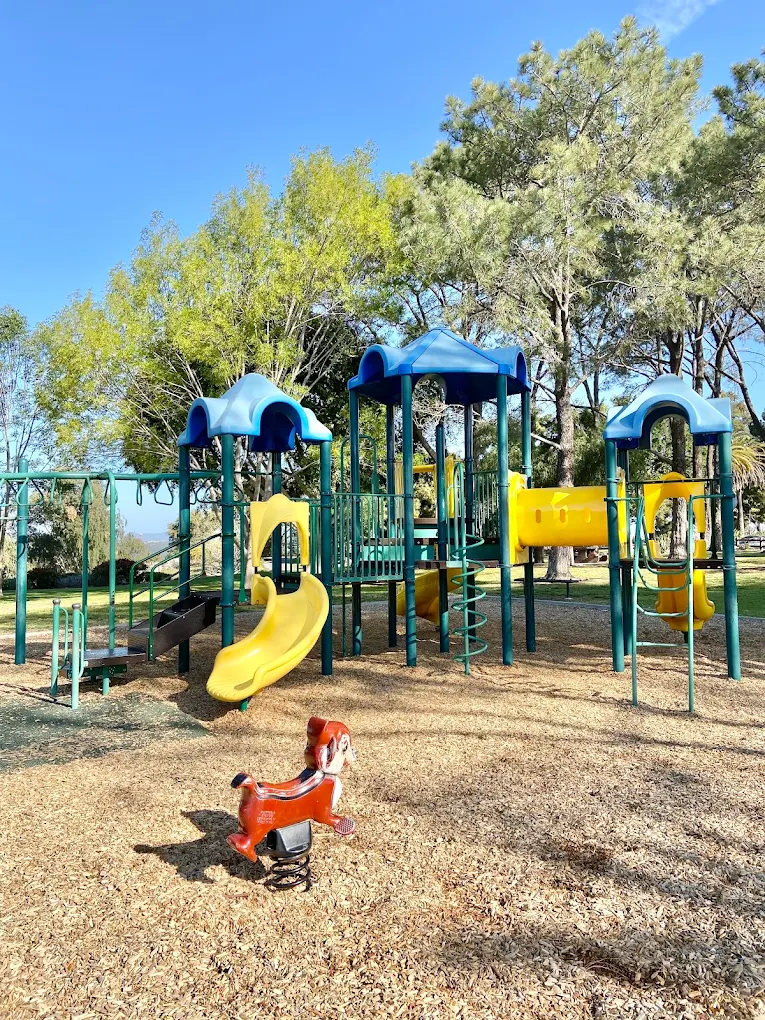 Buddy Todd Park