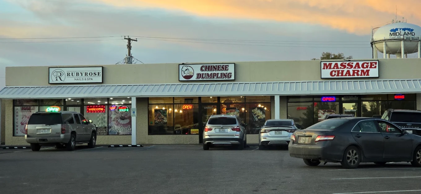Chinese Dumpling