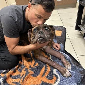 Surfside Animal Hospital