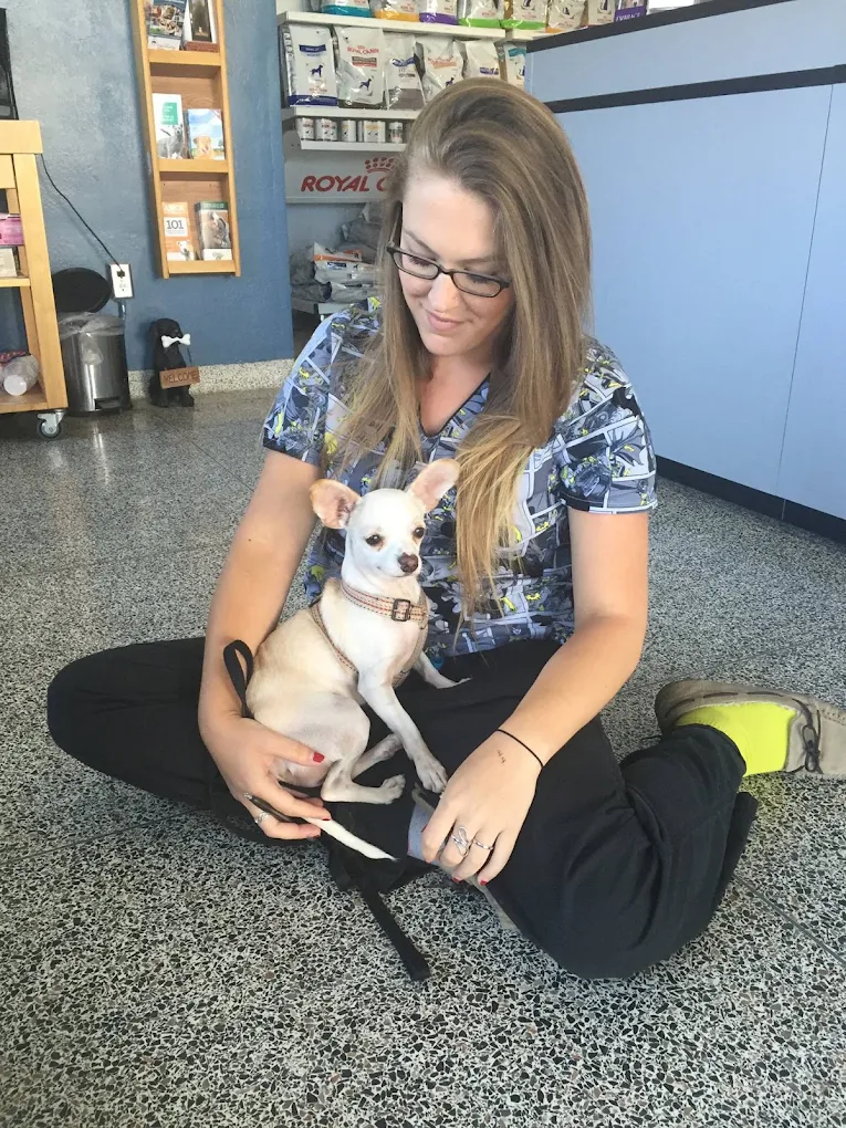 Oceanside Veterinary Hospital