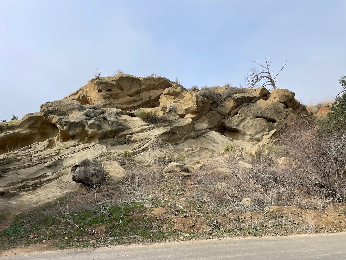 Irvine Regional Park
