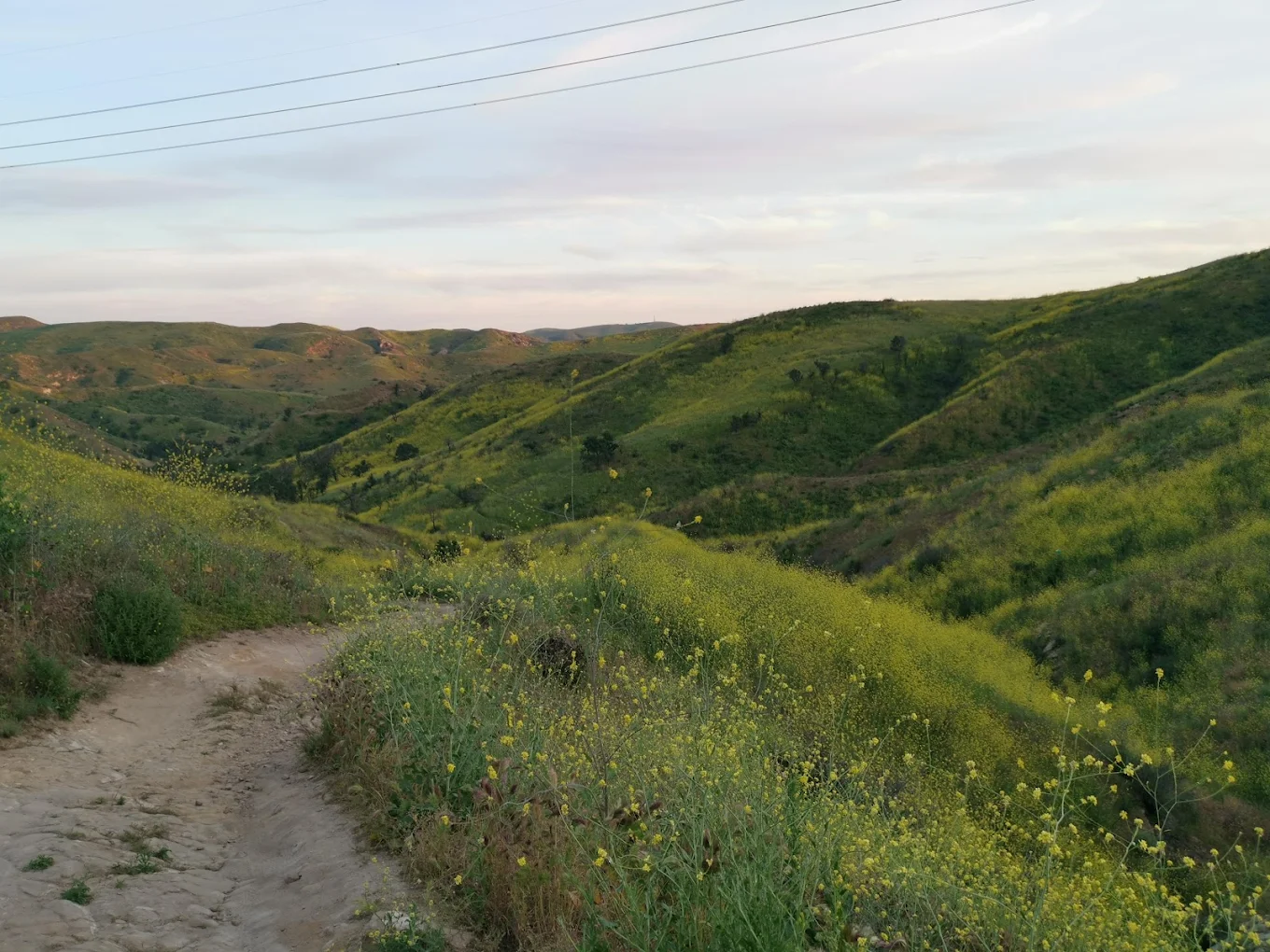 Santiago Oaks Regional Park