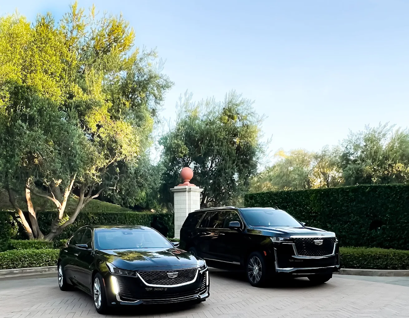 Ashwa Limousine