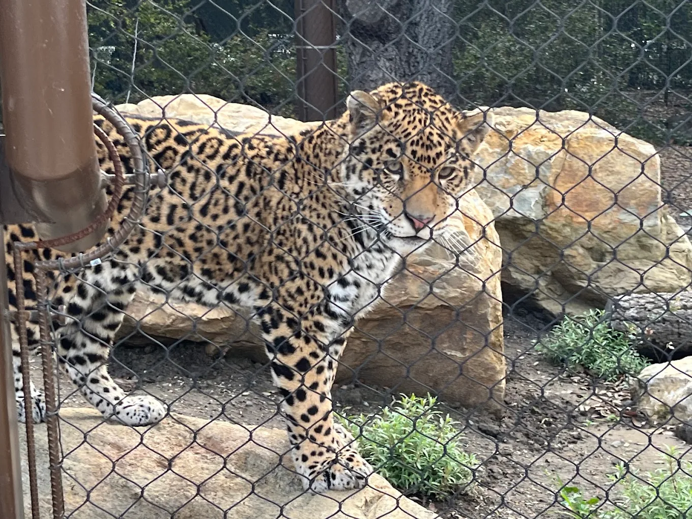 Orange County Zoo