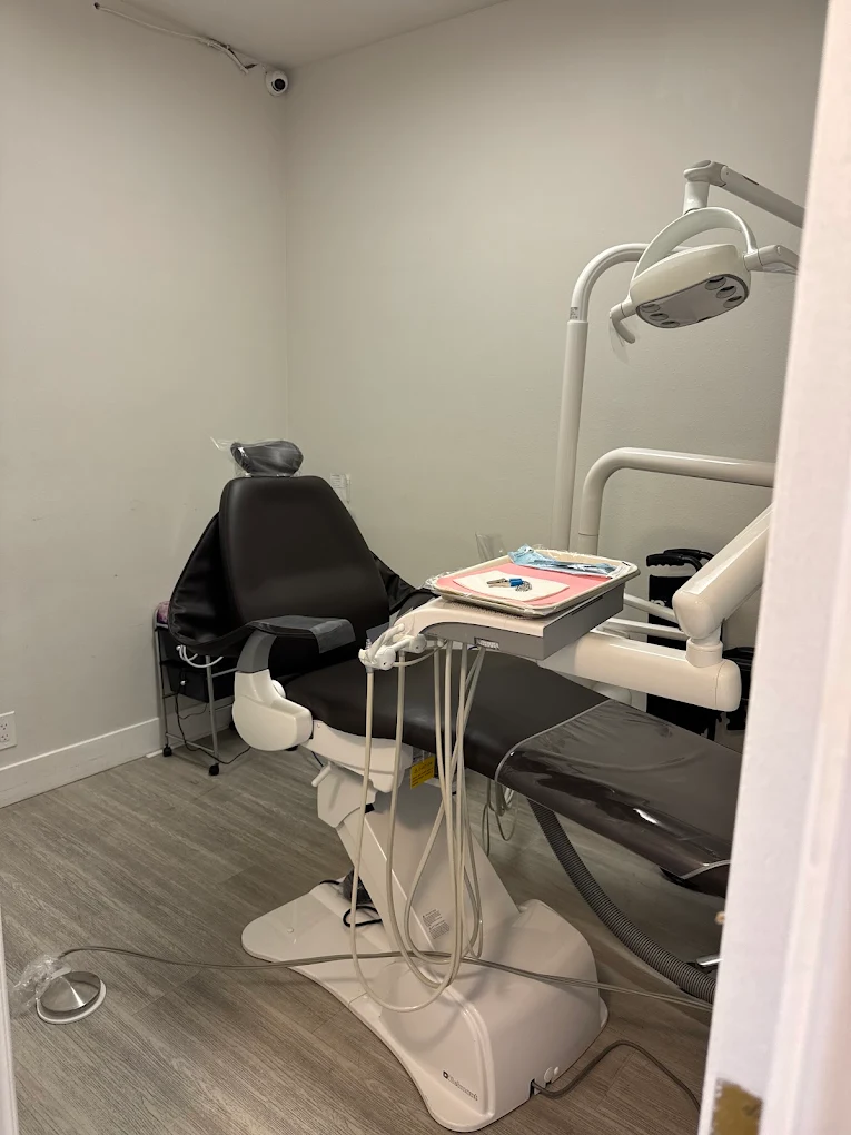 Samira Seini, DDS