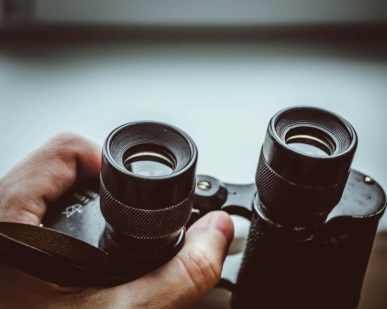Lighthouse Investigations and Litigation Support