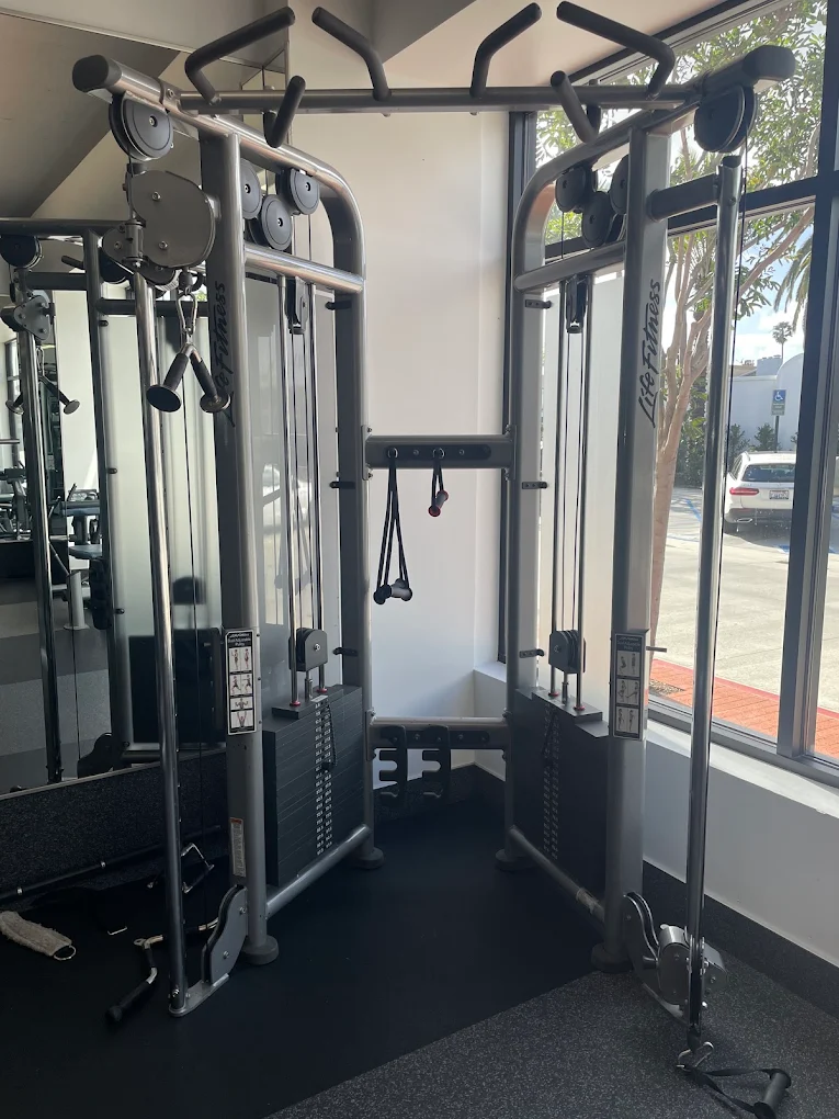 Curl Fitness