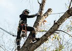 Chippers Tree Service