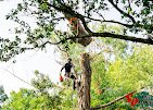 S&P Tree Service