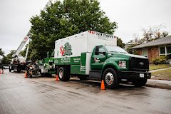 S&P Tree Service