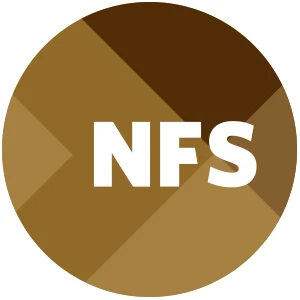 NFS  Tax Services