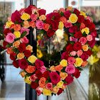 Vivid Flowers